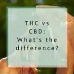 CBD vs THC - what’s the difference?
