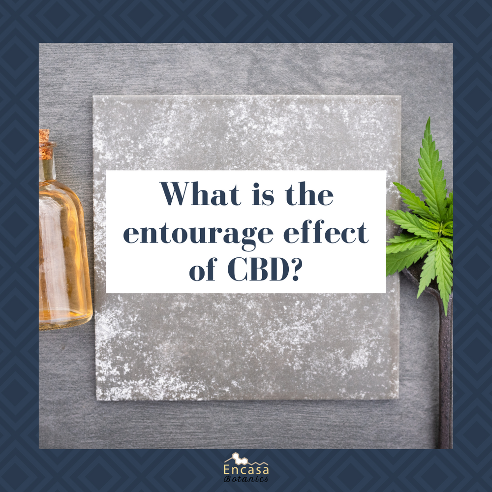 What is the entourage effect of CBD?