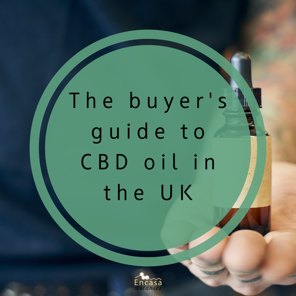 The buyer’s guide to buying CBD oil in the UK
