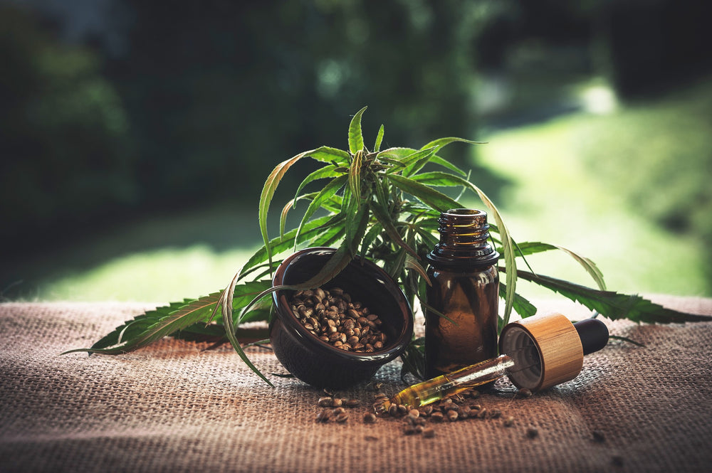 Terpenes and Full Spectrum CBD: How They Work Together for Optimal Health